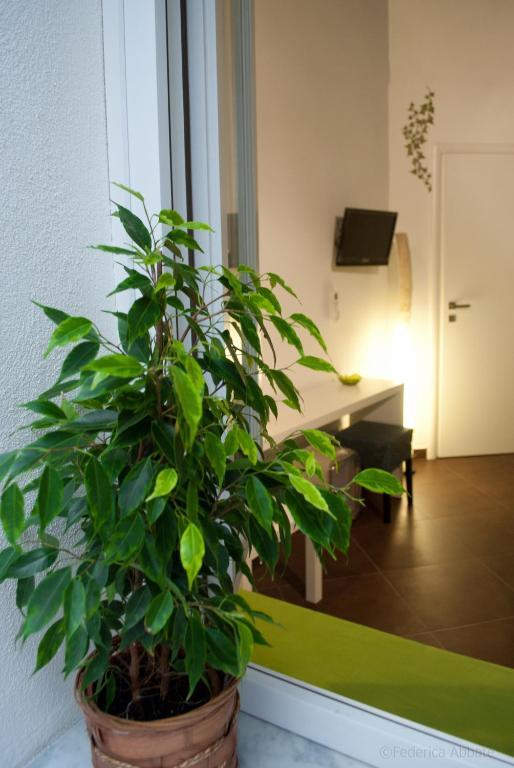 Affittacamere B&B Carella Палермо Номер фото